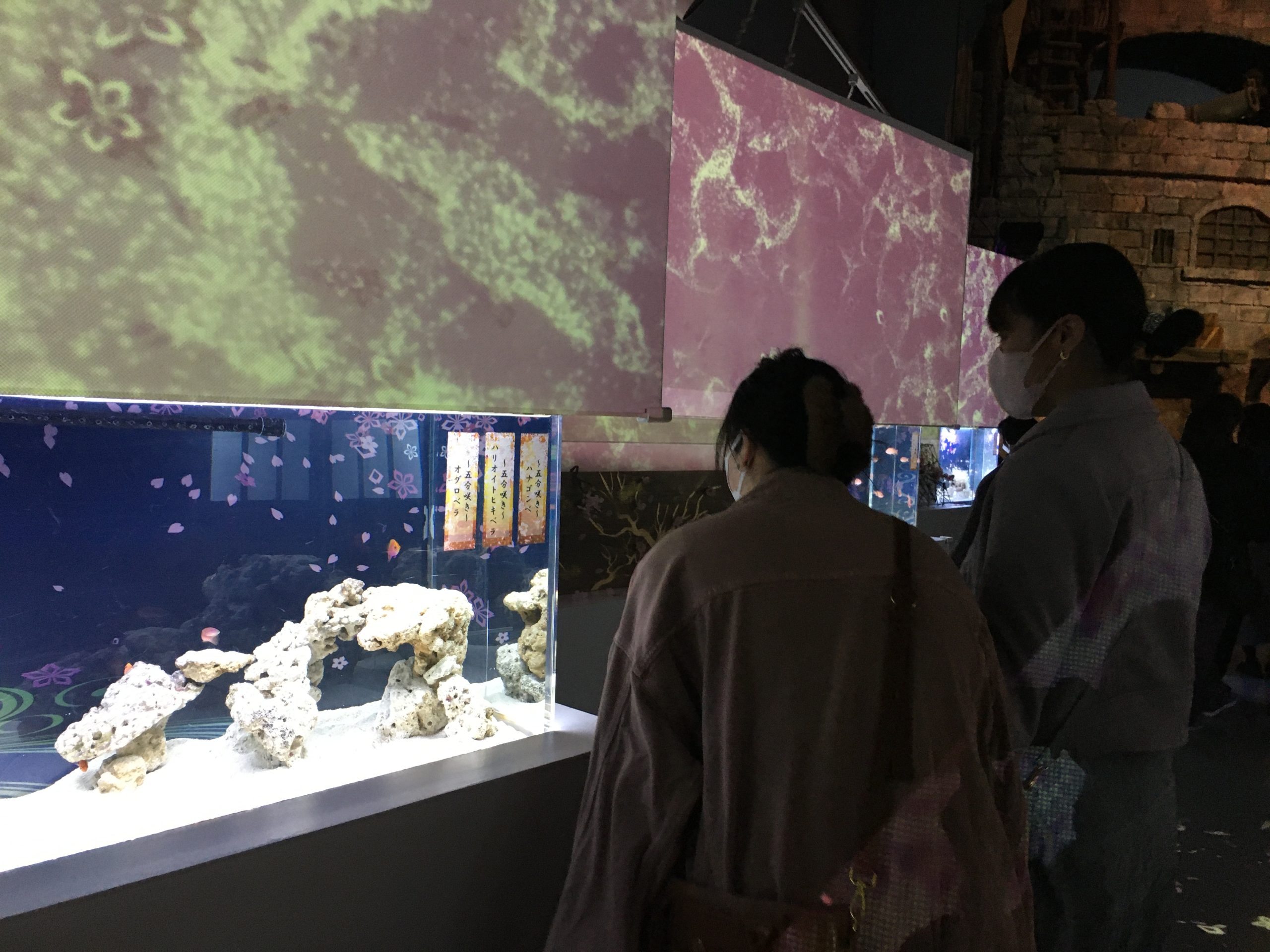 【课外活动】东京天空树和品川水族馆